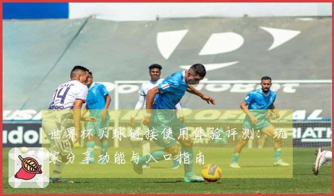 世界杯买球链接使用体验评测：玩家分享功能与入口指南