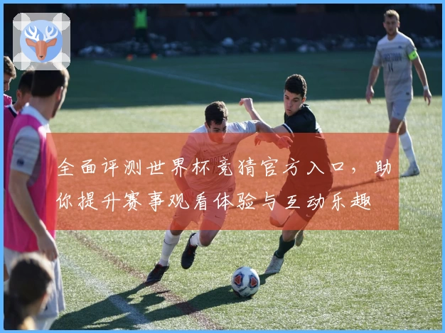 全面评测世界杯竞猜官方入口，助你提升赛事观看体验与互动乐趣
