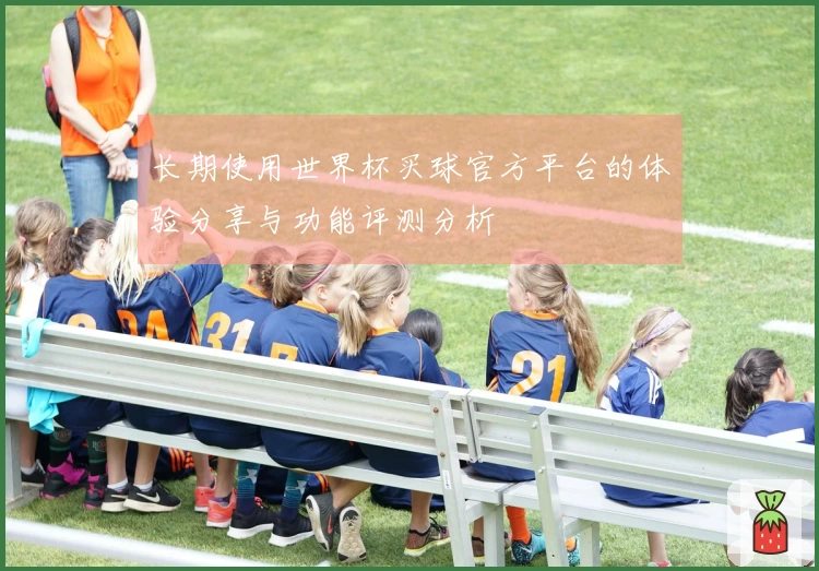 长期使用世界杯买球官方平台的体验分享与功能评测分析
