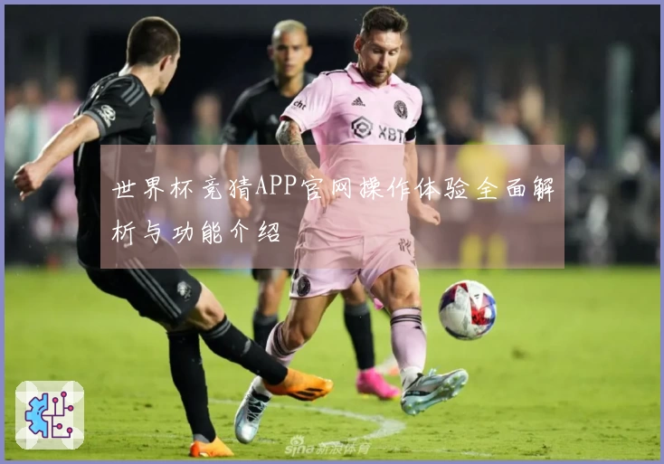 世界杯竞猜APP官网操作体验全面解析与功能介绍