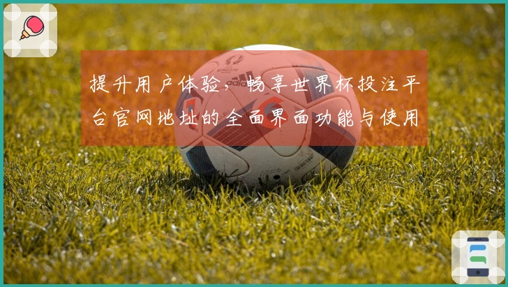 提升用户体验，畅享世界杯投注平台官网地址的全面界面功能与使用指南